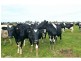 Kyabram VIC 3620