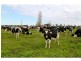 Kyabram VIC 3620