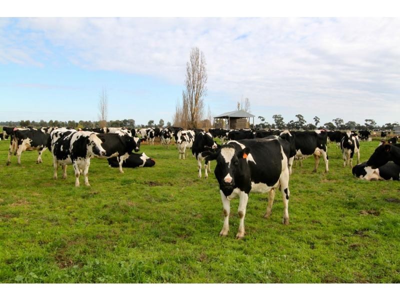 Kyabram VIC 3620