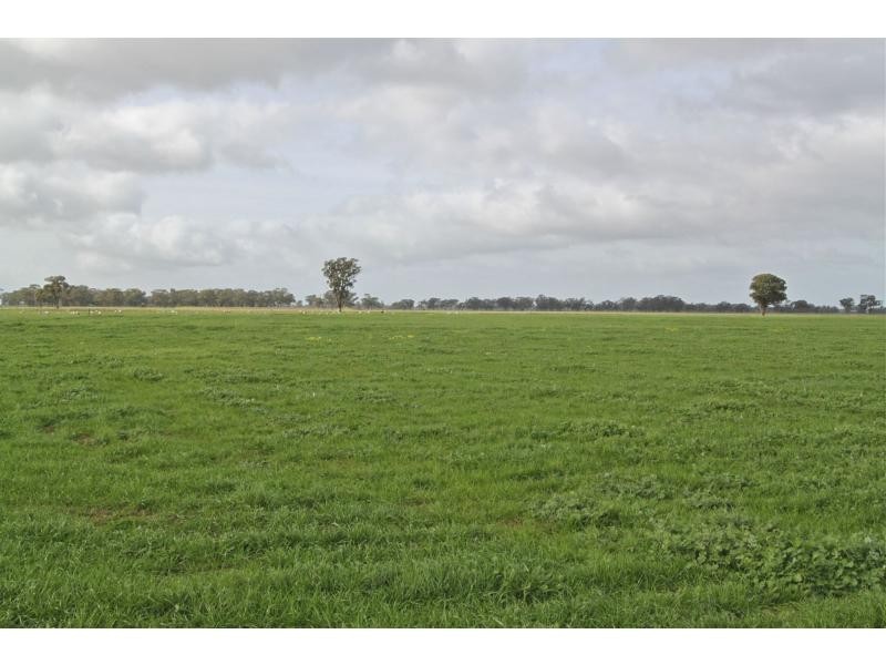 Numurkah VIC 3636