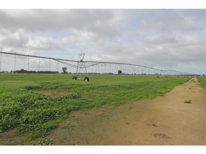 Numurkah VIC 3636
