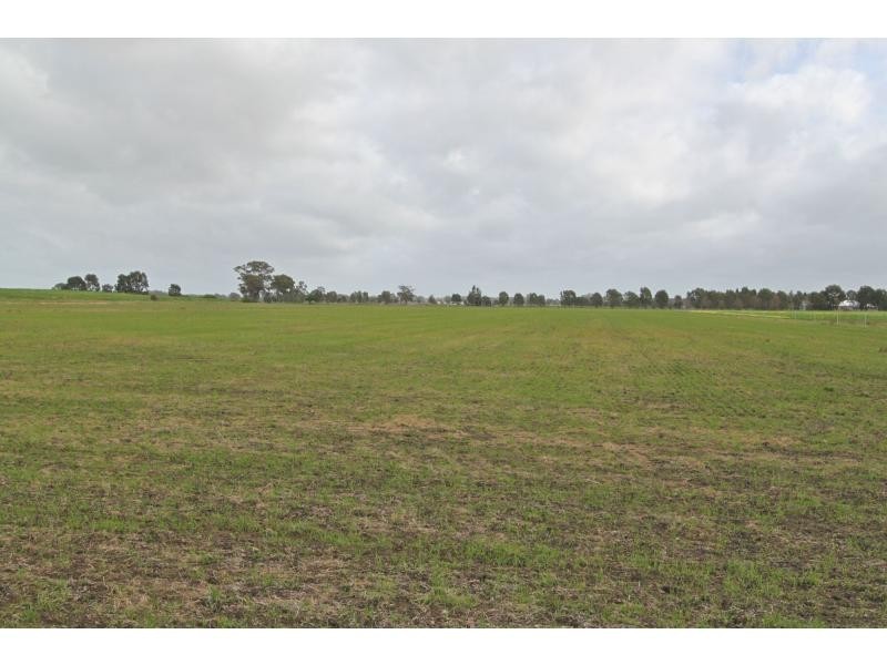 Numurkah VIC 3636