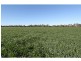 Strathmerton VIC 3641