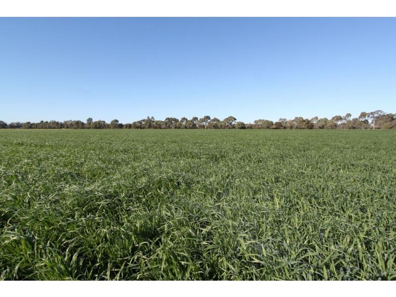 Strathmerton VIC 3641