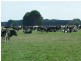 Warrnambool VIC 3280