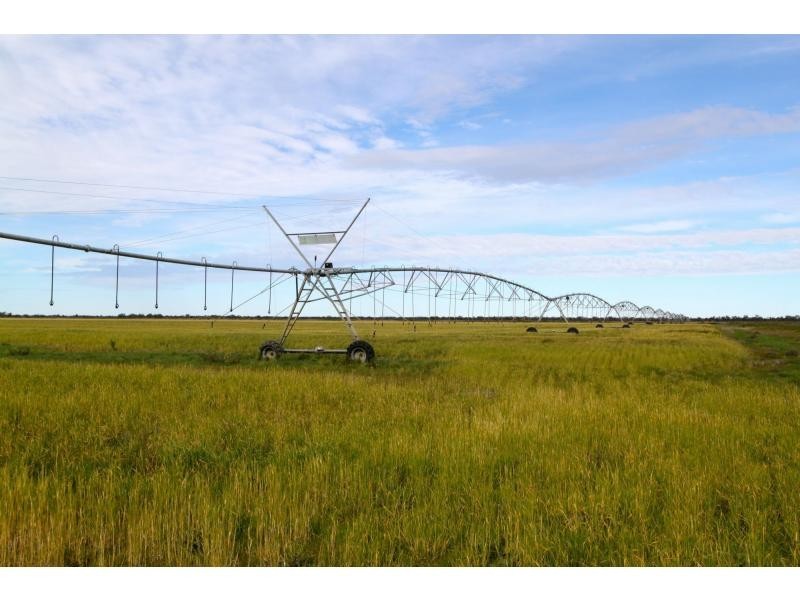 Pretty Pine NSW 2710