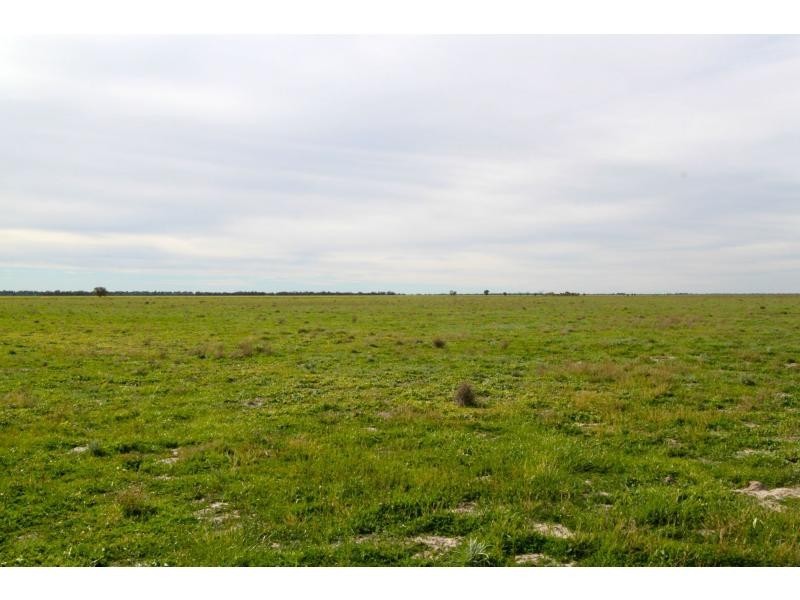 Pretty Pine NSW 2710