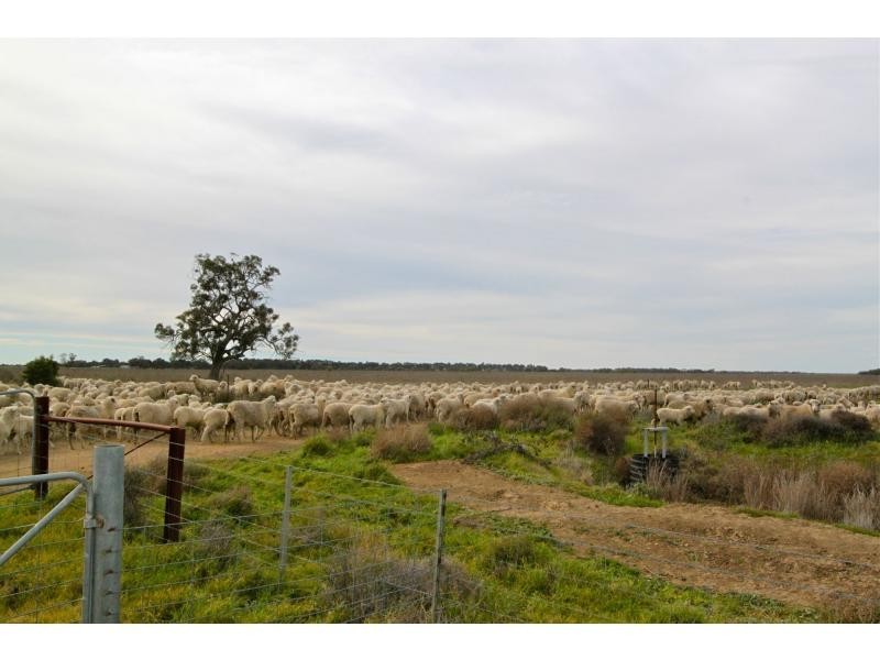 Pretty Pine NSW 2710