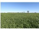 Strathmerton VIC 3641