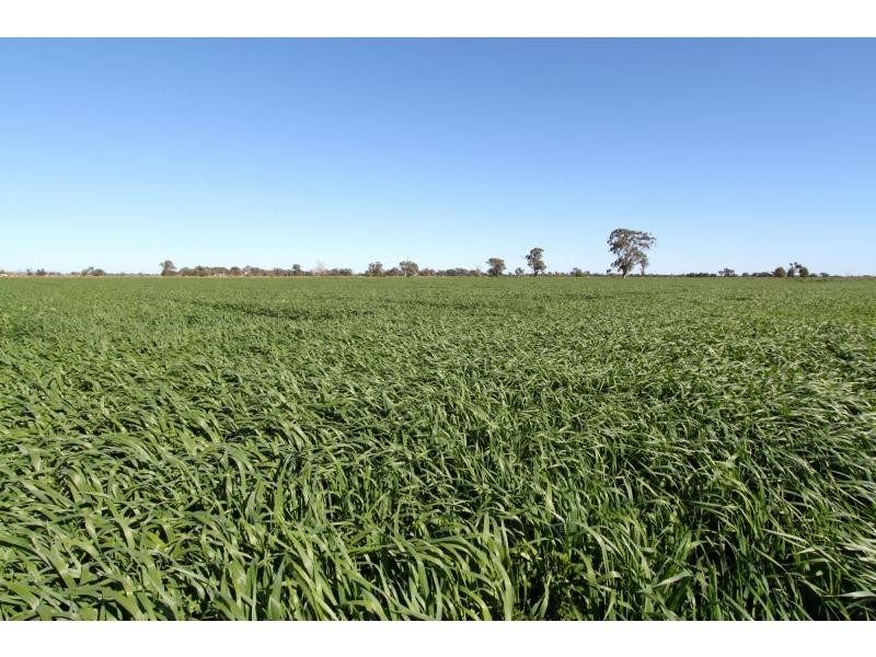 Strathmerton VIC 3641