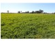 Strathmerton VIC 3641