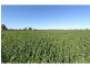 Strathmerton VIC 3641