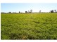 Strathmerton VIC 3641