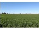 Strathmerton VIC 3641