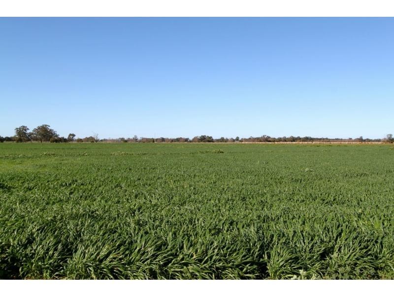 Strathmerton VIC 3641