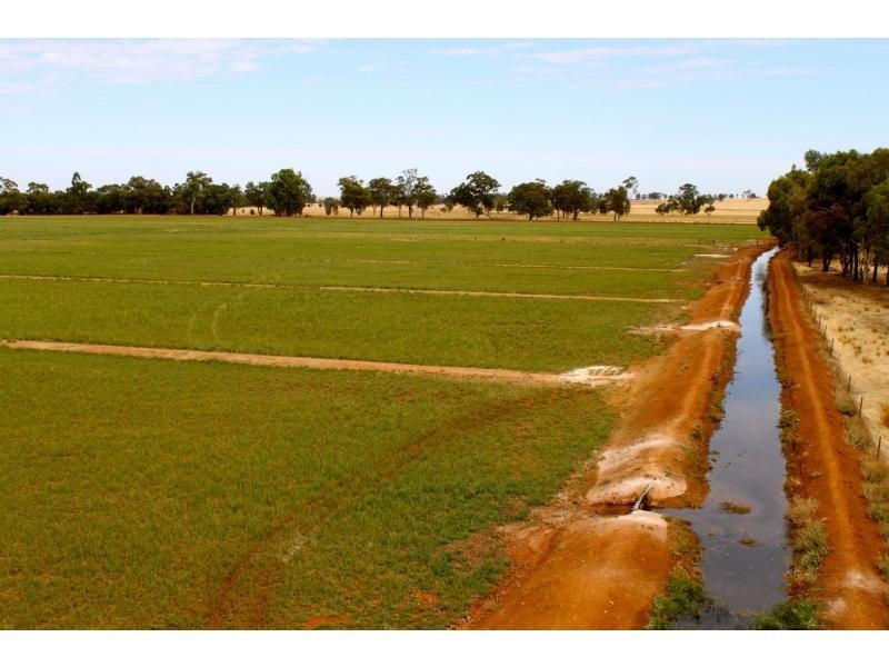 678 Back Barooga Road, Barooga NSW 3644