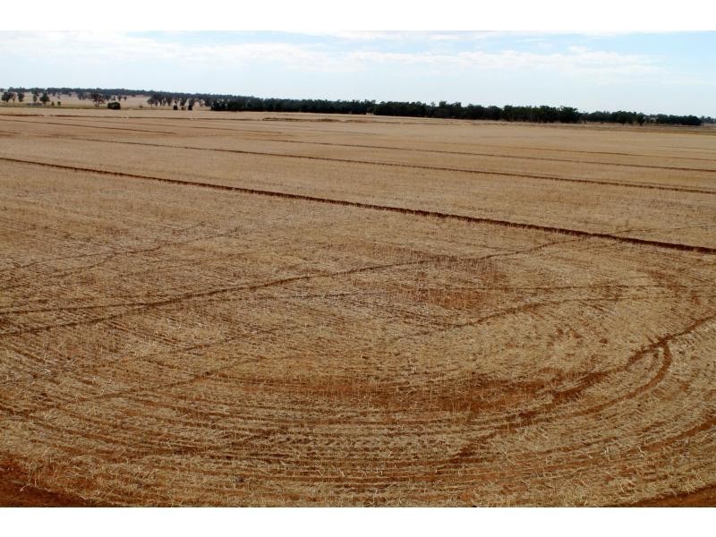 678 Back Barooga Road, Barooga NSW 3644