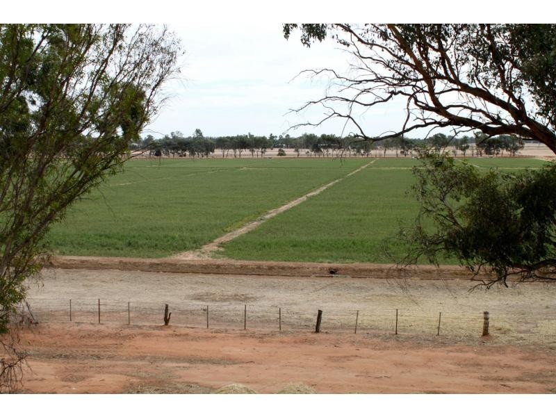 678 Back Barooga Road, Barooga NSW 3644