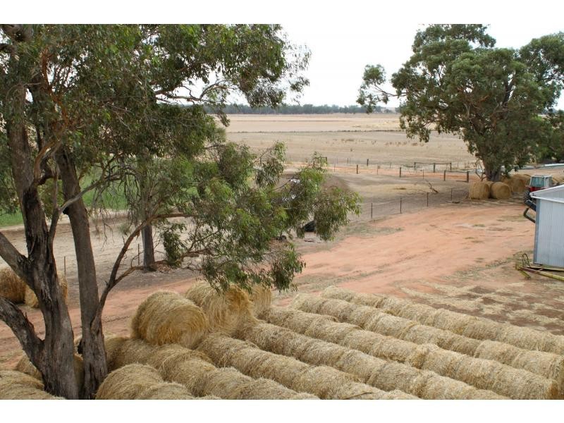 678 Back Barooga Road, Barooga NSW 3644