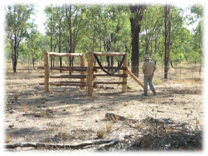 Mareeba QLD 4880