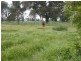 Cobram VIC 3644