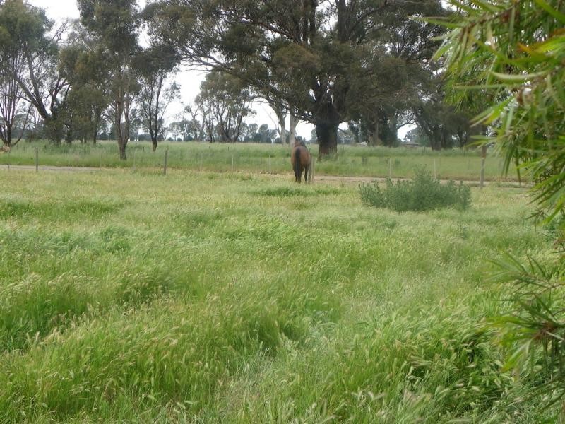 Cobram VIC 3644