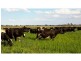 Tatura VIC 3616