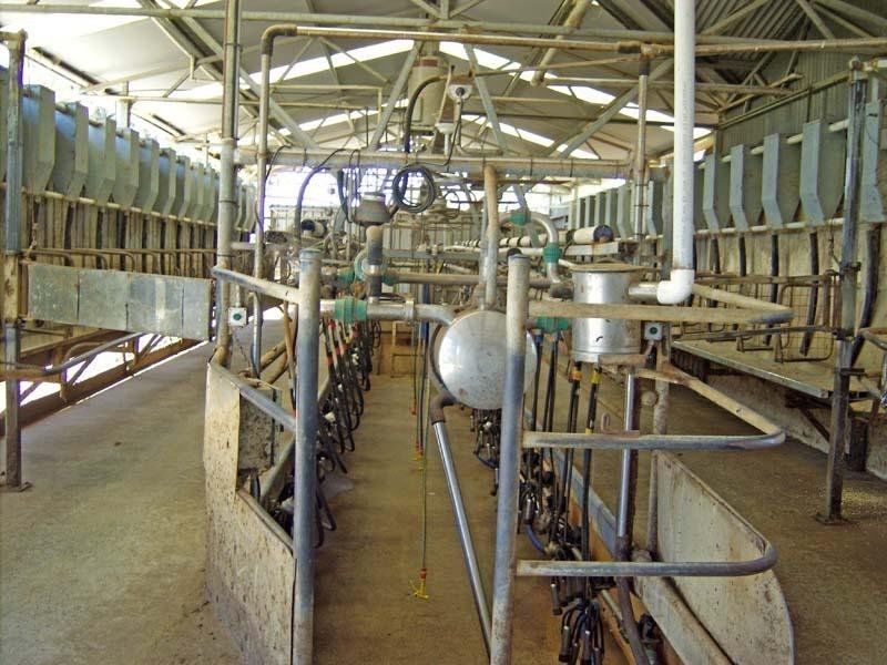 Tatura VIC 3616
