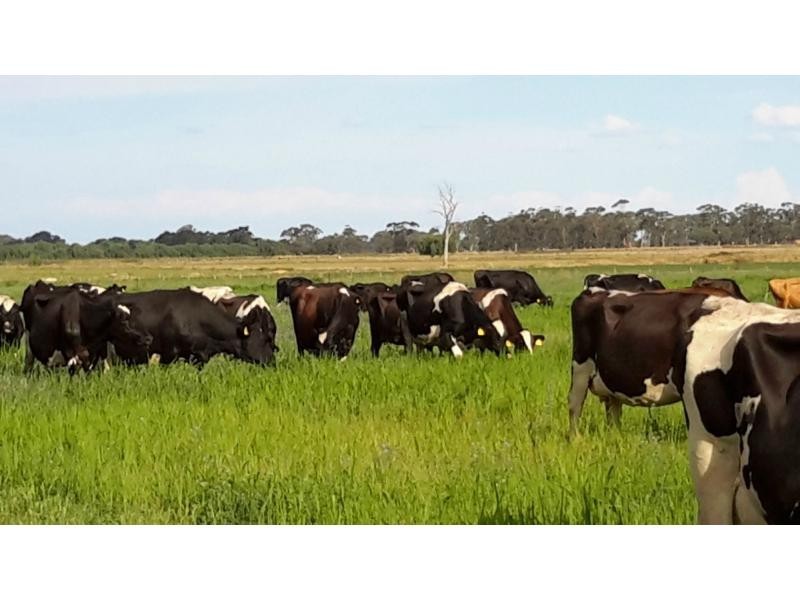 Tatura VIC 3616