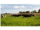 Tatura VIC 3616