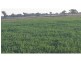 Tatura VIC 3616