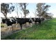 Strathmerton VIC 3641