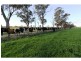 Strathmerton VIC 3641