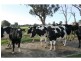 Strathmerton VIC 3641