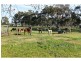 Cobram VIC 3644