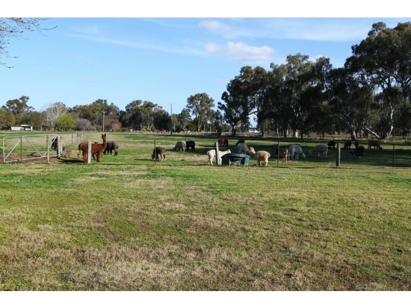 Cobram VIC 3644
