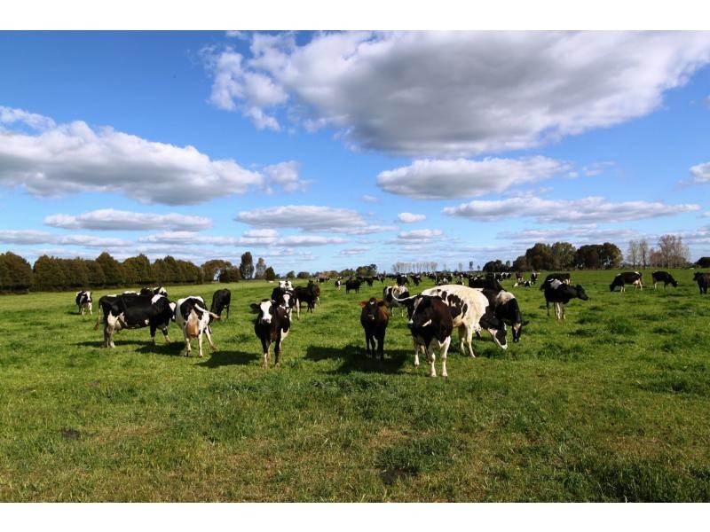 Strathmerton VIC 3641