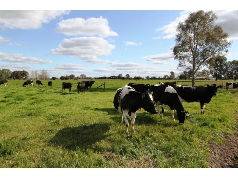 Strathmerton VIC 3641