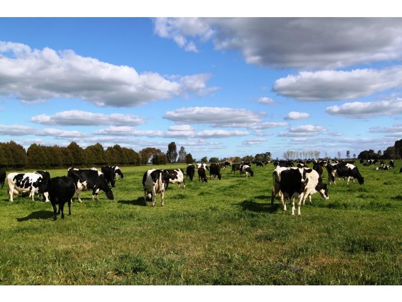 Strathmerton VIC 3641