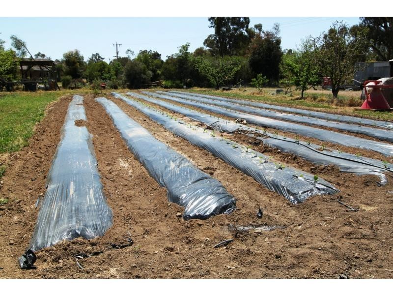 Koonoomoo VIC 3644