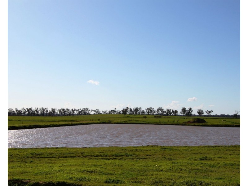 Cobram East VIC 3644