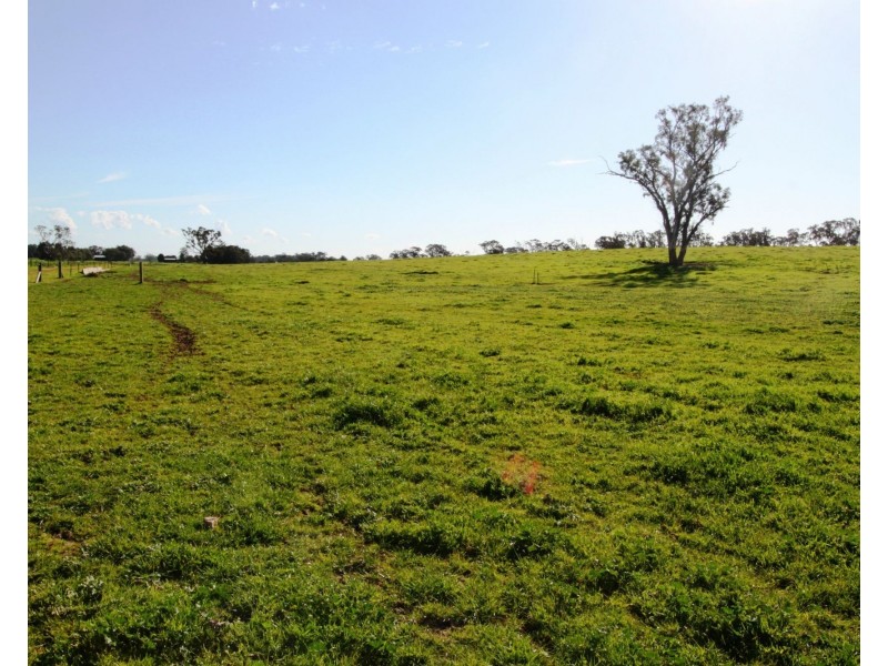 Cobram East VIC 3644