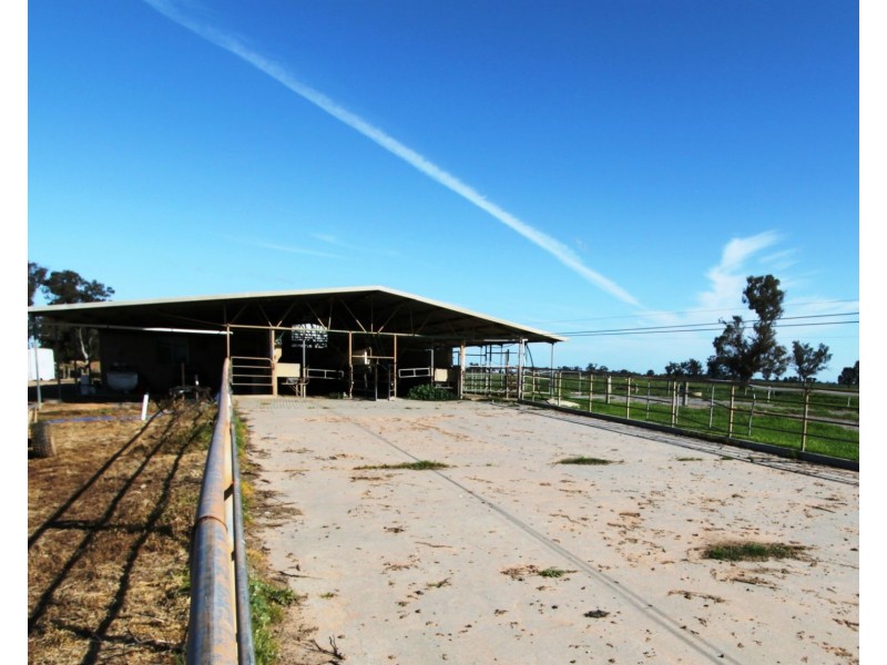 Cobram East VIC 3644