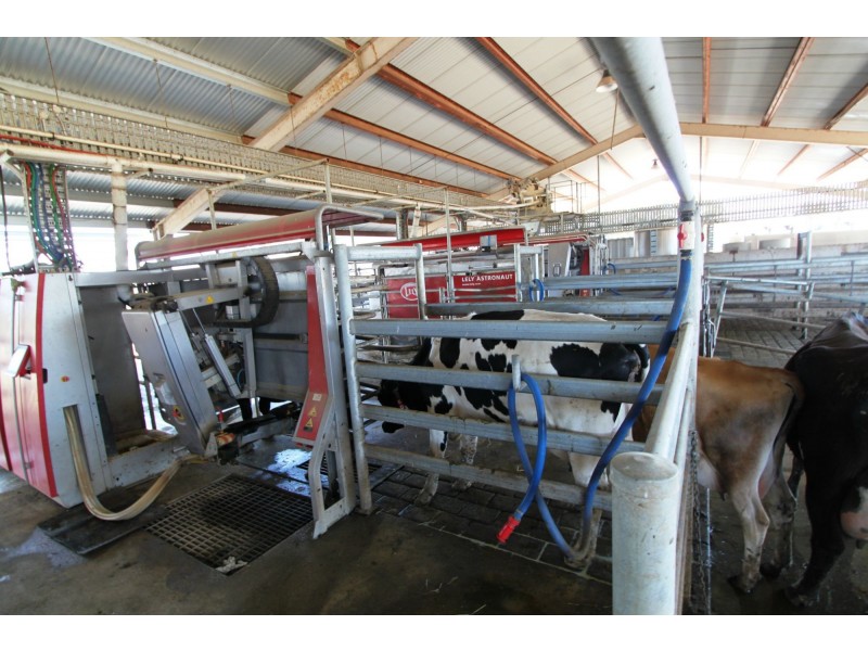 Deniliquin NSW 2710