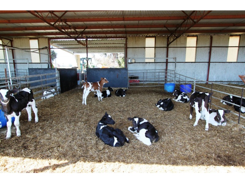 Deniliquin NSW 2710