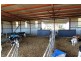 Deniliquin NSW 2710