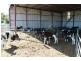 Deniliquin NSW 2710