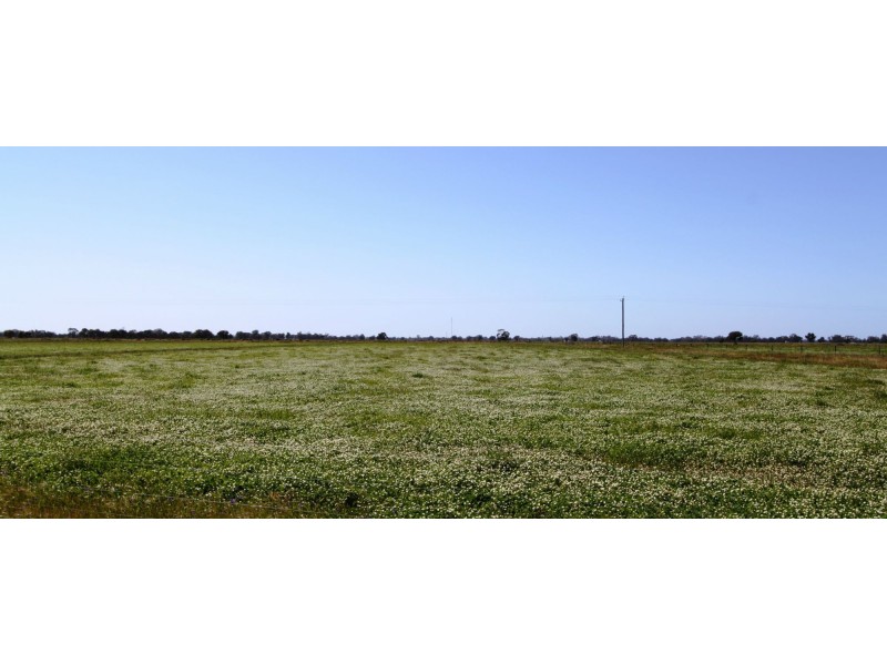 Deniliquin NSW 2710