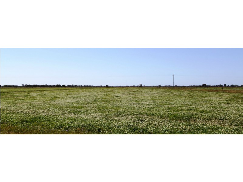 Deniliquin NSW 2710