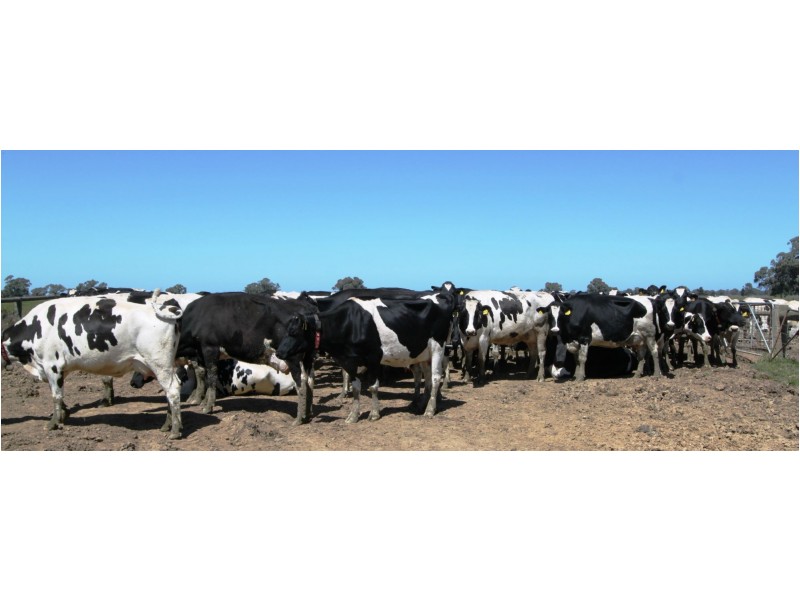 Deniliquin NSW 2710